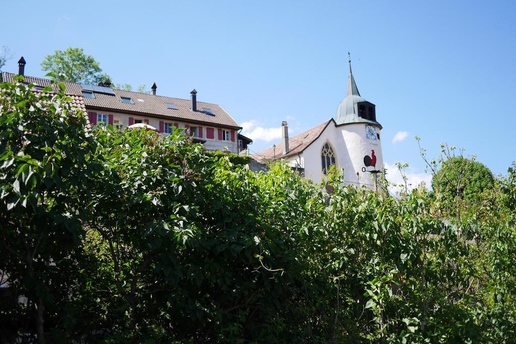 Auberge Aux Deux Sapins Montricher Rum bild